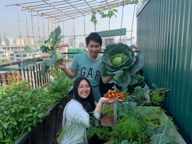 vườn rau nhà trọng tấn 5 vườn rau nhà trọng tấn 5