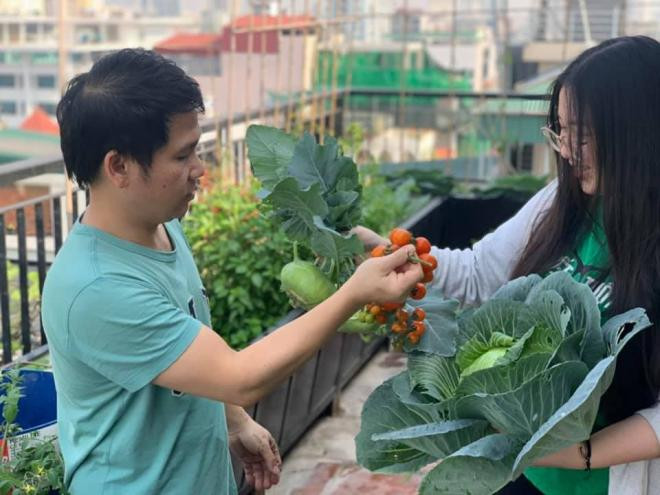 vườn rau nhà trọng tấn 0 vườn rau nhà trọng tấn 0