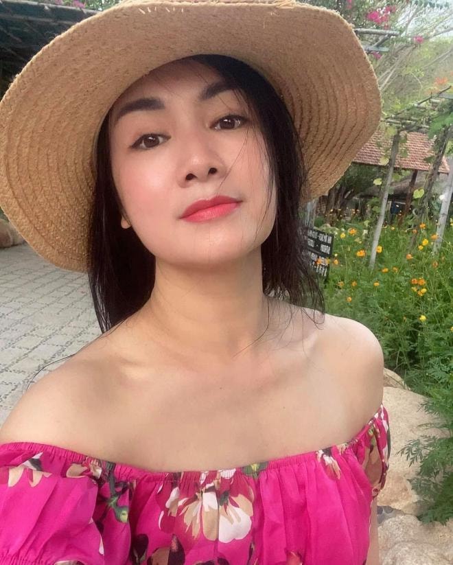 bạch cúc hướng dương ngược nắng  1