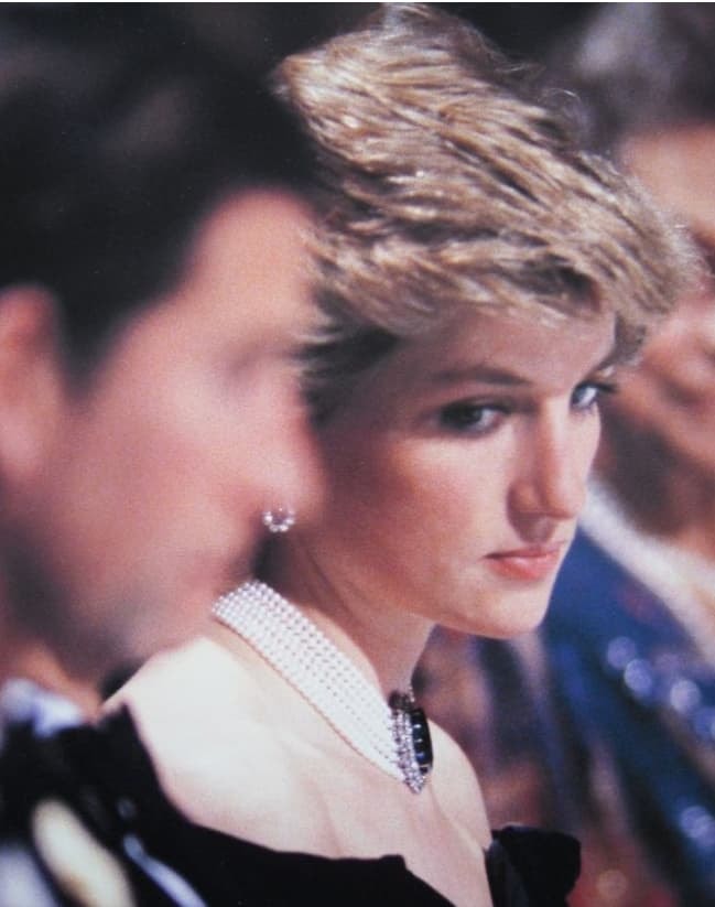 cong-nuong-diana-1 (2).jpg 15