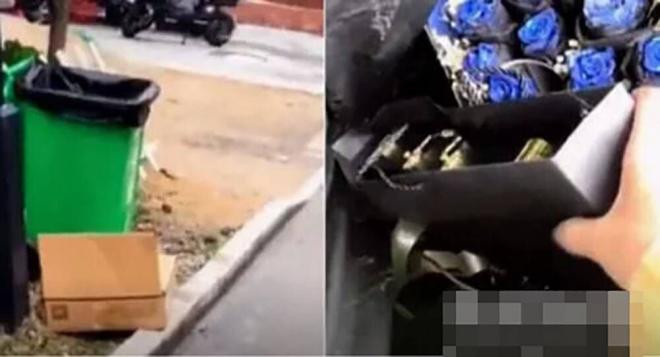 phụ nữ phát hiện bên trong có chiếc nhẫn kim cương và một thẻ ngân hàng 3
