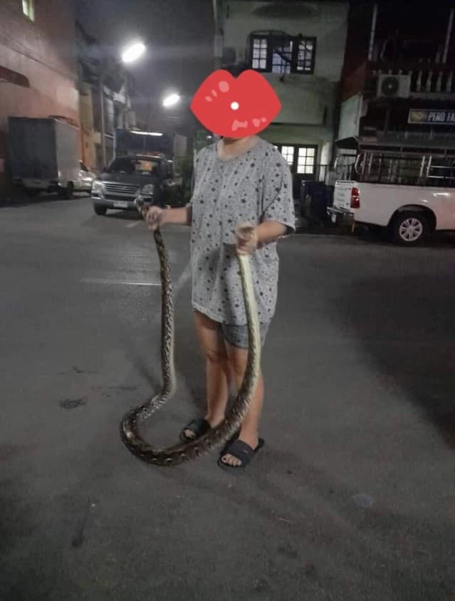 vợ bắt trăn 0