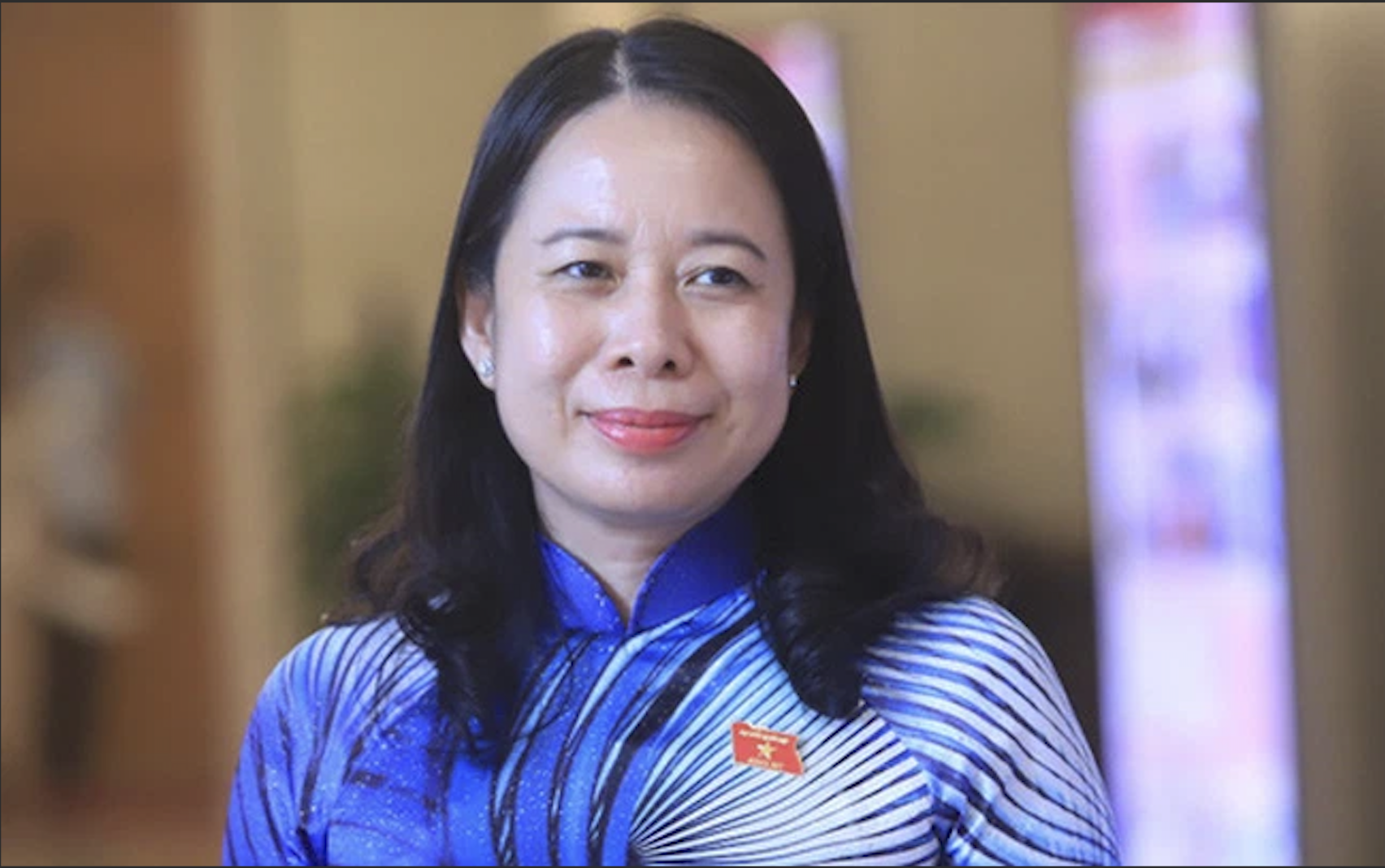 Bà Võ Thị Ánh Xuân trở thành tân Phó Chủ tịch nước - 1