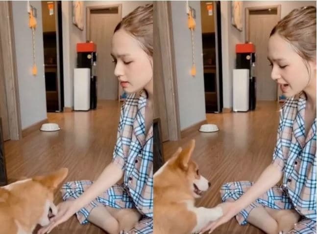 Xoài Non để mặt mộc  0