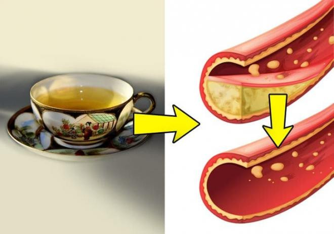 thải độc tố khỏi cơ thể 3 thải độc tố khỏi cơ thể 3