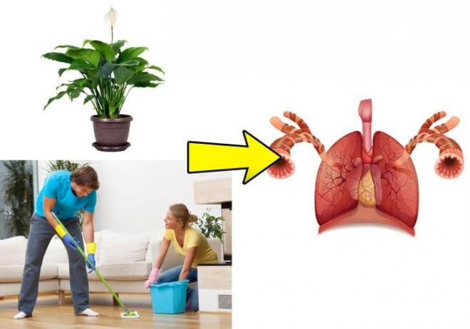 thải độc tố khỏi cơ thể 5 thải độc tố khỏi cơ thể 5