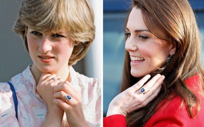 William (1).jpg 3 William (1).jpg 3