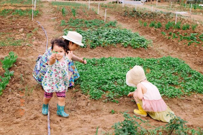 sao Việt làm gì trong ngày nghỉ lễ 4 sao Việt làm gì trong ngày nghỉ lễ 4