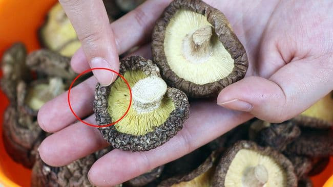 cách chọn nấm hương khô 6