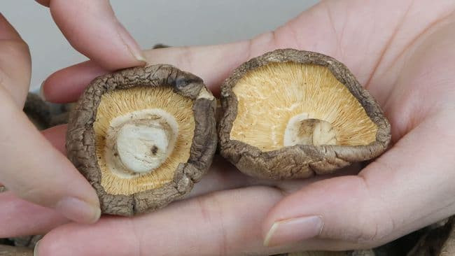cách chọn nấm hương khô 3