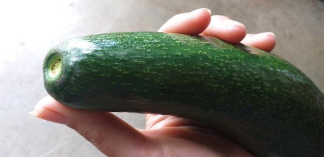 cách chọn bơ già 3 cách chọn bơ già 3
