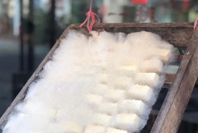 đậu phụ mọc lông 0