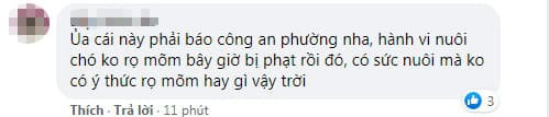 Dùng tay nạy răng chó Pitbull nhà hàng xóm để cứu con, người cha bị cắn cụt đốt ngón tay, nhớ lại vẫn bàng hoàng 8 Dùng tay nạy răng chó Pitbull nhà hàng xóm để cứu con, người cha bị cắn cụt đốt ngón tay, nhớ lại vẫn bàng hoàng 8