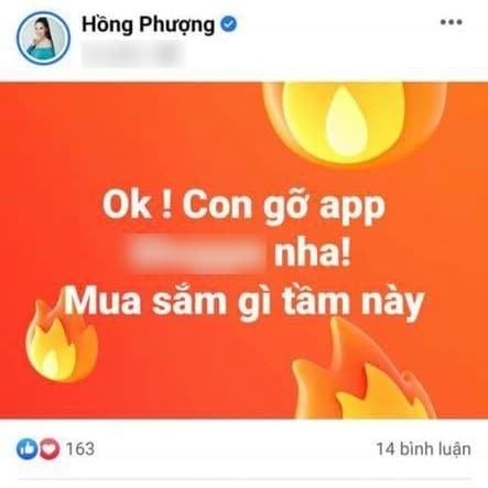1-ngoisaovn-w443-h443 4