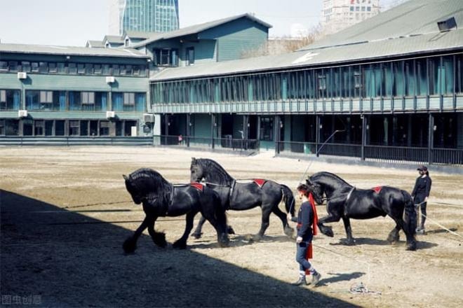 han-huyet (8).jpg 3