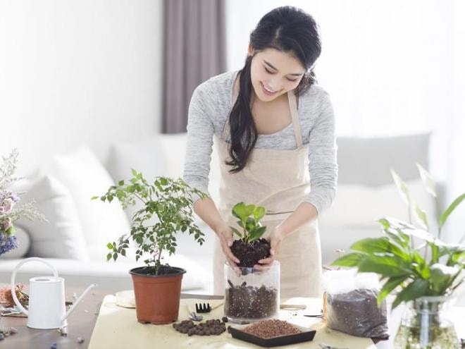 chăm sóc cây ngày nắng nóng  4