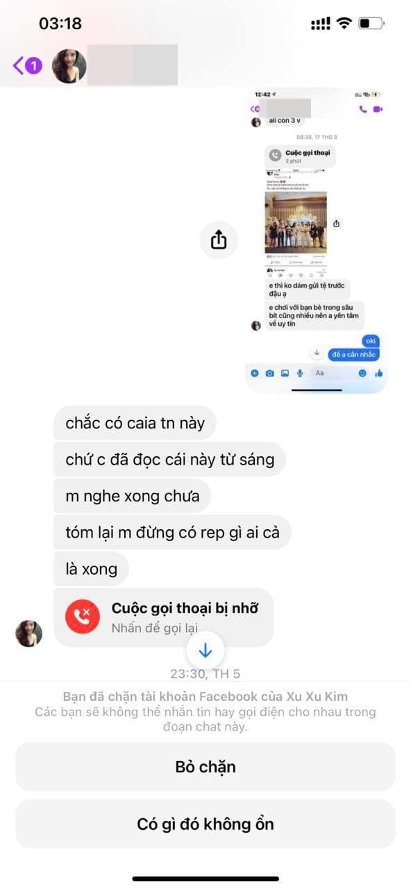 vợ Phan Mạnh Quỳnh 2
