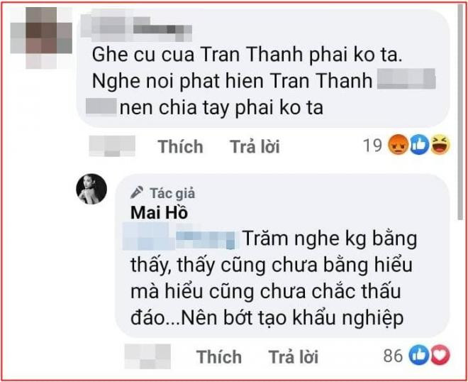 tran-thanh-mai-ho-01-copy-1-1-ngoisaovn-w726-h592 0