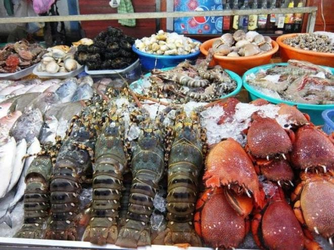 Fiji- Quốc gia duy nhất chưa có bệnh nhân ung thư 4 Fiji- Quốc gia duy nhất chưa có bệnh nhân ung thư 4