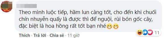 cách luộc chuối  2