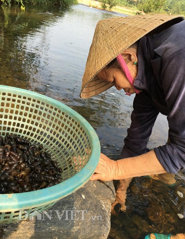 Tầm 5 – 6 giờ sáng, người dân thường đi bắt ốc đá tại lòng suối, lòng sông, nơi có nhiều đá tảng, đá phiến ở dưới nước.