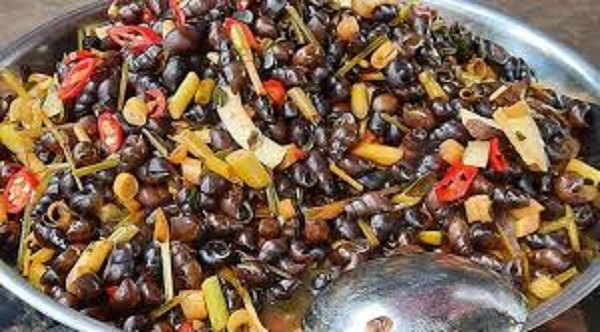 Trời mát, hay se se lạnh ngồi nhâm nhi món ốc đá Trà Bồng thì còn gì thú vị hơn nhỉ.