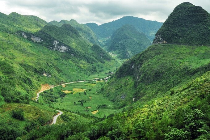 Mùa ngô xanh mướt trên cao nguyên đá Đồng Văn - 1