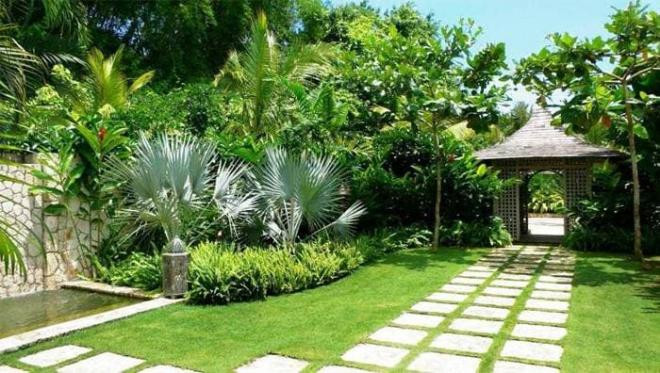 trong-cay-phong-thuy-256 (1).jpg 0