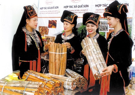 Nông sản chủ yếu của đồng bào dân tộc Dao Quần chẹt là chè và quế.