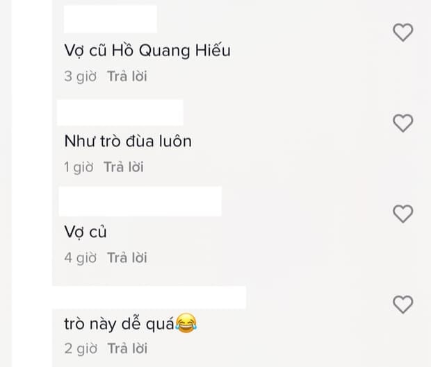 Hồ Quang Hiếu và vợ cũ 0