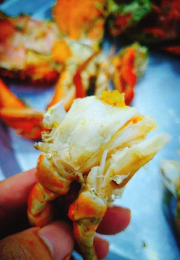cách sơ chế cua biển  0