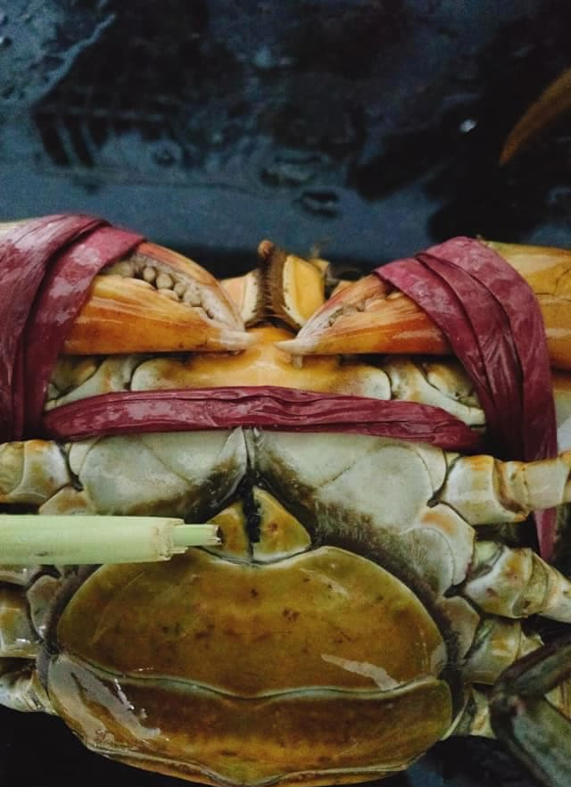 cách sơ chế cua biển  1