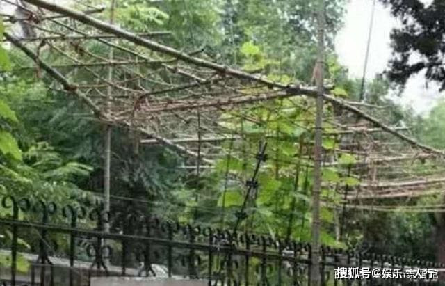 lý liên kiệt 4 lý liên kiệt 4