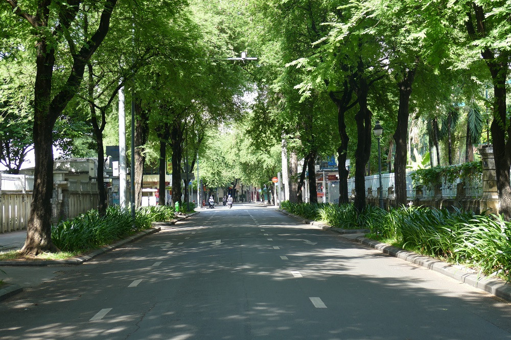 p1550293-w1000-h666.JPG