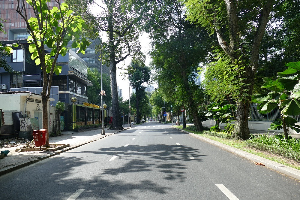 p1550293-w1000-h666.JPG
