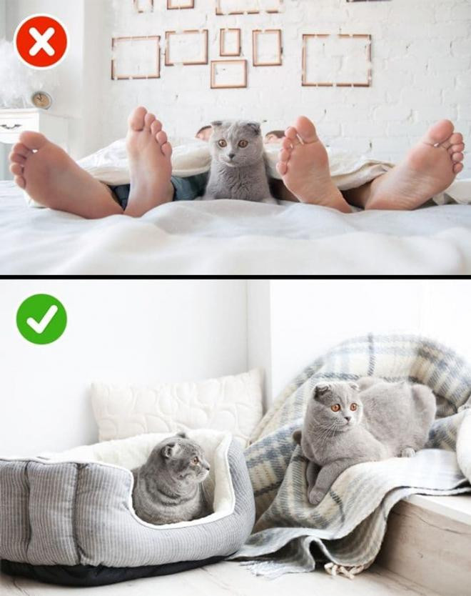 Những việc các cặp vợ chồng nên làm trước khi đi ngủ 10 Những việc các cặp vợ chồng nên làm trước khi đi ngủ 10