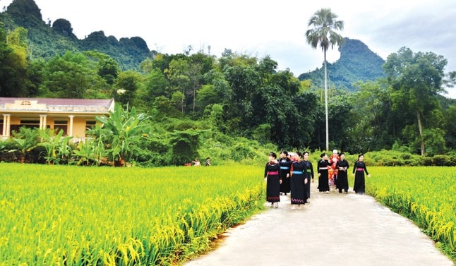 Nhờ bà con dân tộc thiểu số đồng thuận hiến đất, nhiều con đường ở huyện Lâm Bình được mở rộng, giao thông thuận tiện hơn trước.