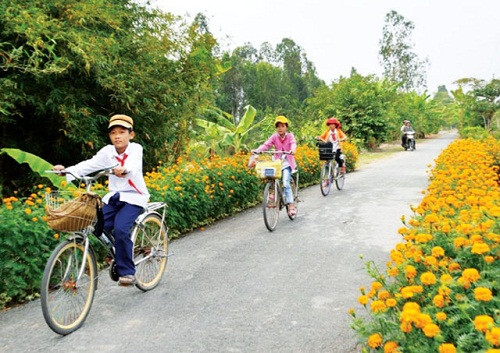 Một góc đường giao thông nông thôn ở xã Nông thôn mới Kim Hòa, huyện Cầu Ngang, tỉnh Trà Vinh hôm nay.