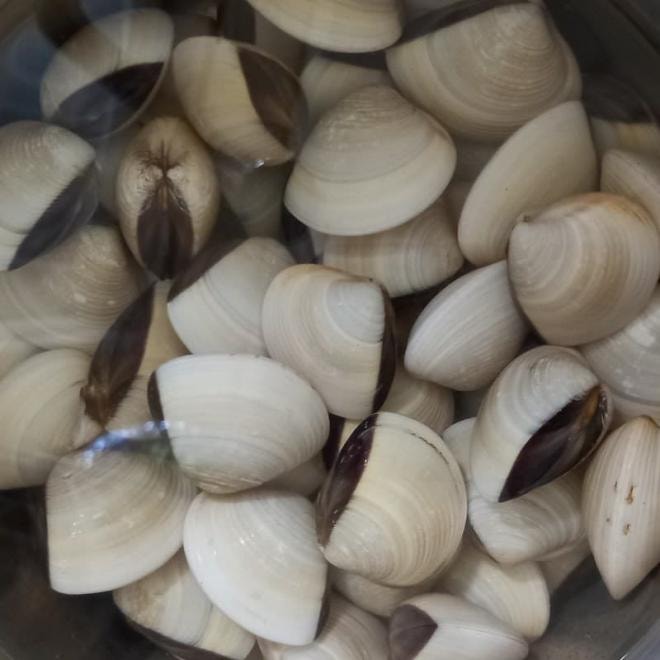canh nghêu nấu dứa 7