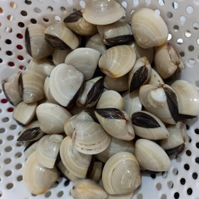 canh nghêu nấu dứa 11