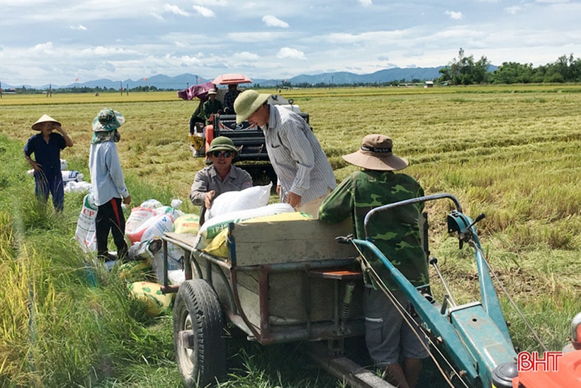 Vào ngày mùa tất bật, chẳng ai quản công với ai. Mỗi người một tay cùng giúp nhau xếp, bốc lúa về nhà sớm nhất để các cánh đồng được giải phóng nhanh.