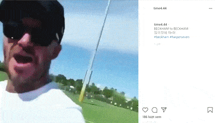 harper.gif 0 harper.gif 0