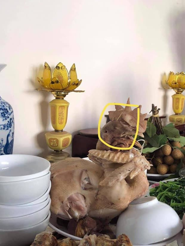 nho-chong-luoc-ga-cung-248 (1).jpeg 1