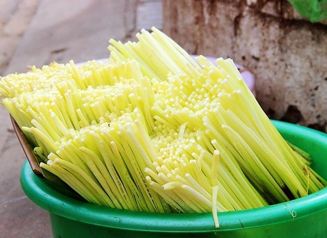 Những đọt năn bộp nhỏ nhắn bắt mắt. (Ảnh: Internet)