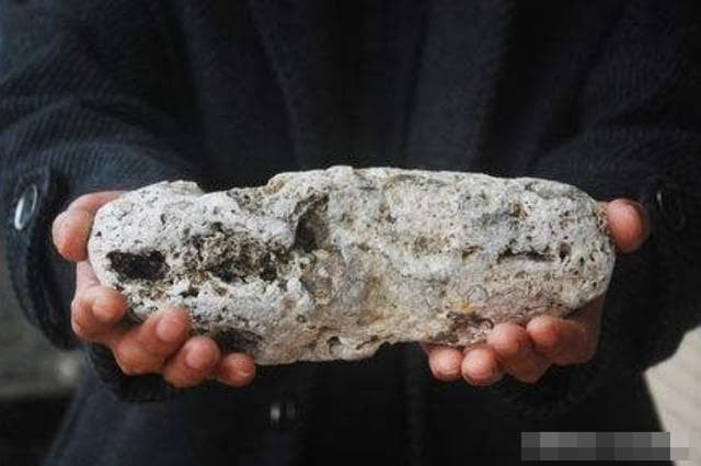 ca-voi (1).jpg 3