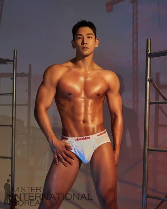 Mister International Korea 12