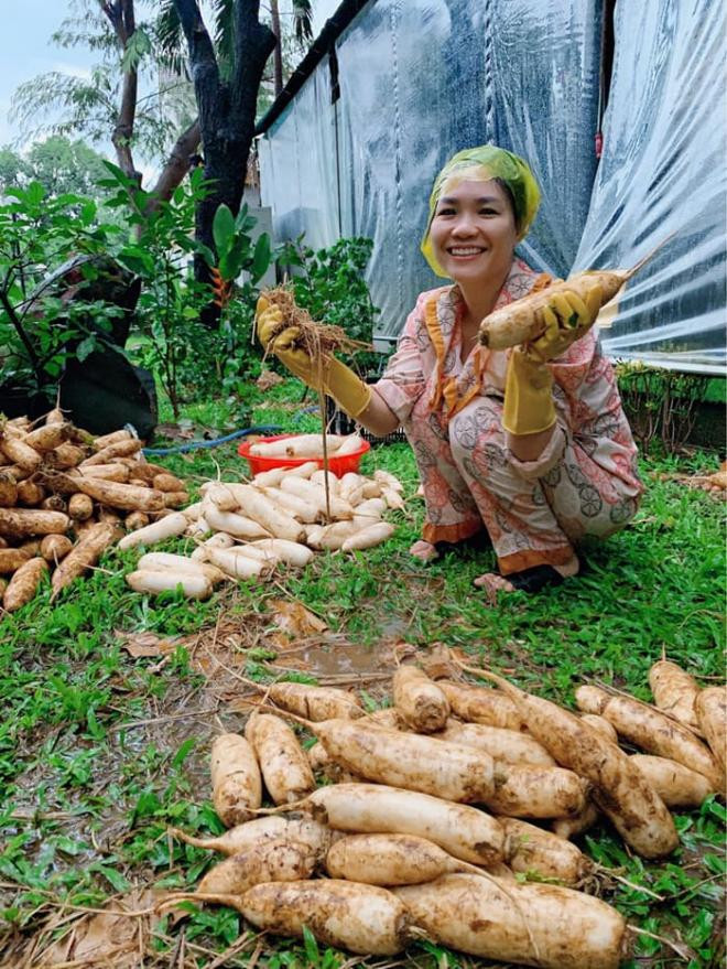 ceo-dao-thi-anh-nguyet-149 (1).jpg 0 ceo-dao-thi-anh-nguyet-149 (1).jpg 0