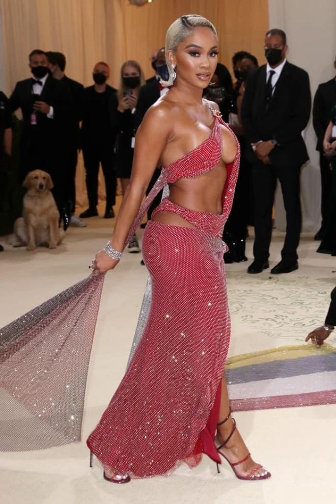 Thảm đỏ Met Gala 1