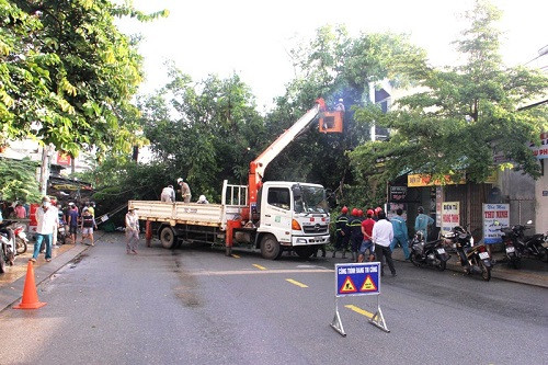 hinh-2-1-w500-h333.jpg