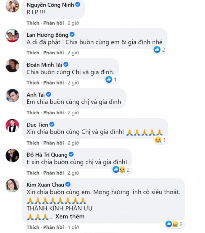 Trịnh Kim Chi 0